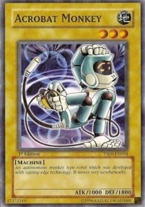 YSDS-004 · Scimmia Acrobatica / Acrobat Monkey (ITA)