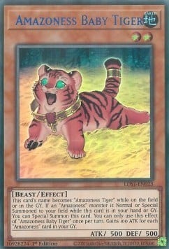 023C-U · Cucciolo di Tigre Amazoness / Amazoness Baby Tiger UR (ITA)