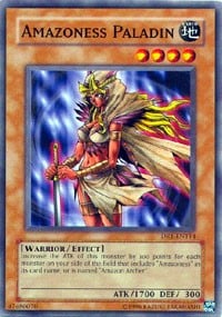 DR1-114 · Paladina Amazoness / Amazoness Paladin (ITA)