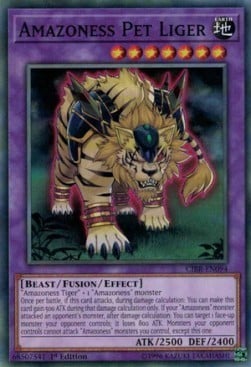 CIBR-094 · Ligre Domestico Amazoness / Amazoness Pet Liger (ITA)