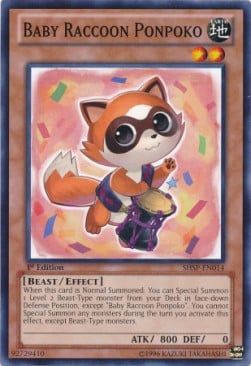 SHSP-014 · Piccolo Procione Ponpoko / Baby Raccoon Ponpoko