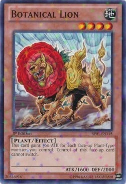BP01-145st · Leone Botanico / Botanical Lion SFR (ITA)