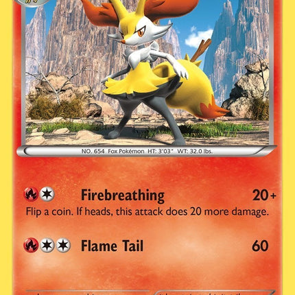 KSS-009 · Braixen F (ITA)
