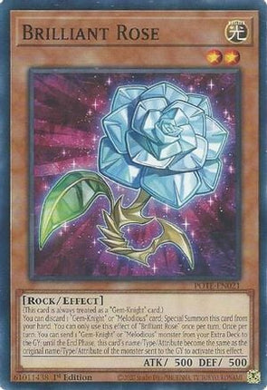 POTE-021 · Rosa Brillante / Brilliant Rose (ITA)