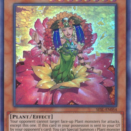 SESL-054 · Chirubimé, Principessa delle Foglie d'Autunno / Chirubimé, Princess of Autumn Leaves SR (ITA)