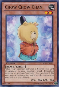 SHSP-002 · Chow Chow Chan (ITA)