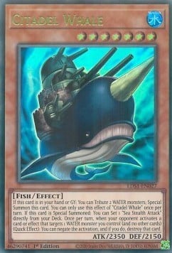 027C-G · Balena Cittadella / Citadel Whale UR (ITA)