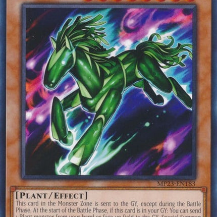 MP23-183 · Cucumber Horse (ITA)