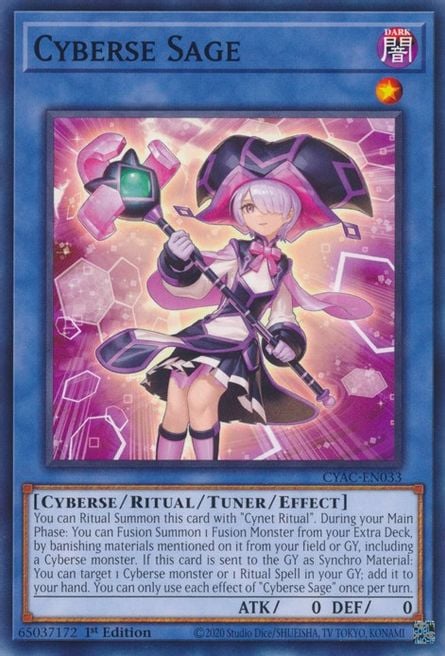 CYAC-033 · Cyberse Sage (ITA)