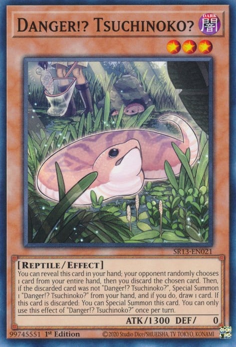 SR13-021 · Pericolo!? Tsuchinoko? / Danger!? Tsuchinoko? (ITA)