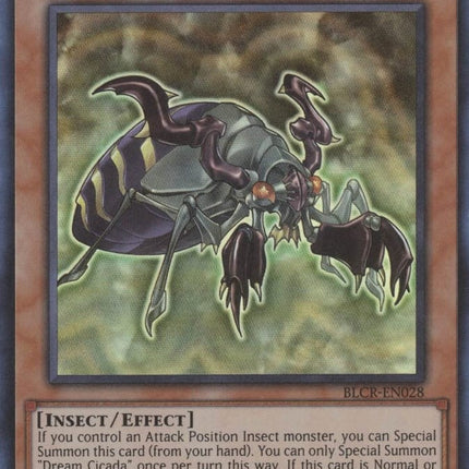 BLCR-028 · Dream Cicada UR (ITA)