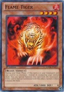 SDOK-019 · Tigre di Fuoco / Flame Tiger (ITA)