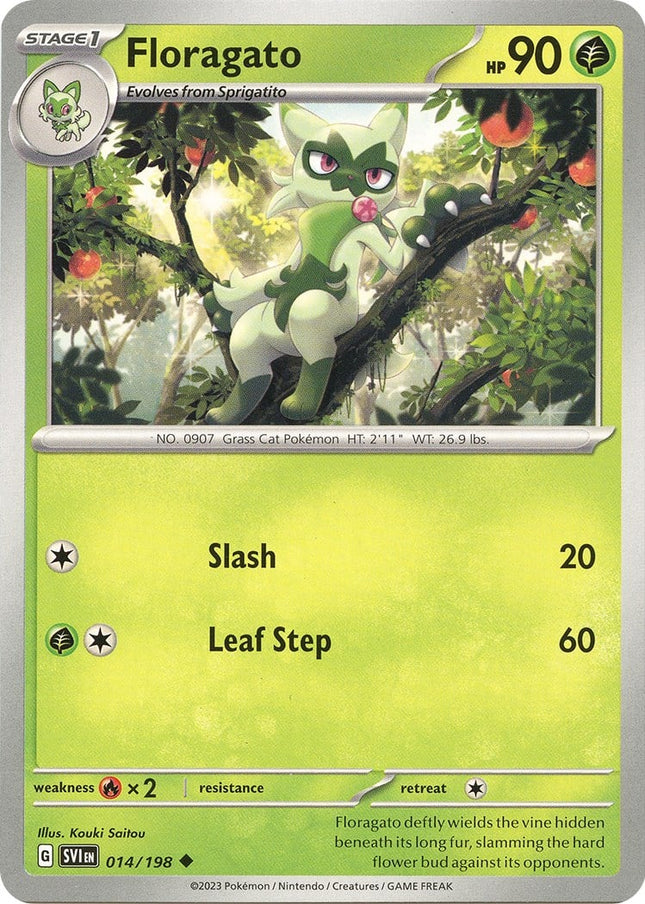 SVI-014 · Floragato (ITA)