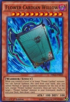 DRL3-033 · Fiore Cardian Salice / Flower Cardian Willow UR (ITA)