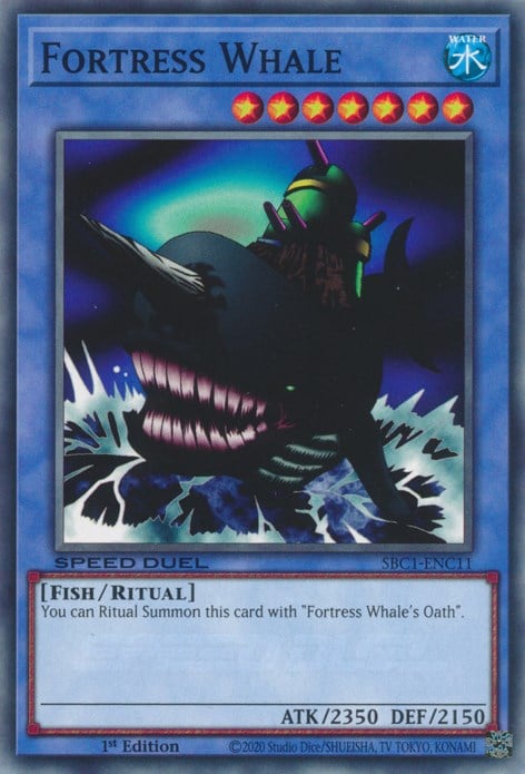 SBC1-C11 · Balena Fortezza / Fortress Whale (ITA)
