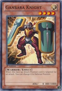 YS13-013 · Cavaliere Ganbara / Ganbara Knight (ITA)