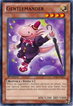YS13-007 · Gentilemandra / Gentlemander (ITA)