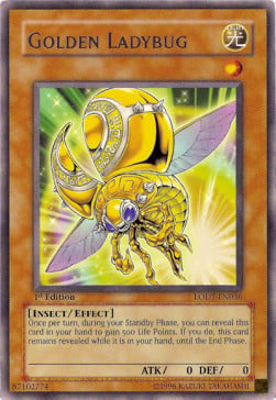 LODT-036 · Coccinella Dorata / Golden Ladybug R (ITA)