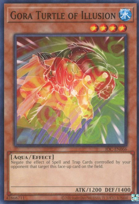 IOC25-066 · Tartaruga Gora dell'Illusione / Gora Turtle of Illusion (ITA)