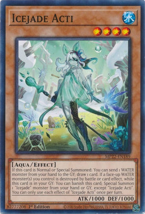 MP22-189 · Ghiacciogiada Acti / Icejade Acti (ITA)