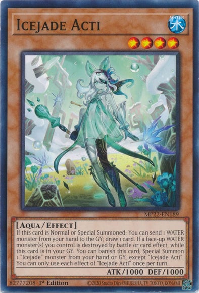 MP22-189 · Ghiacciogiada Acti / Icejade Acti (ITA)