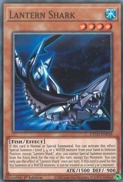 ETCO-018 · Squalo Lanterna / Lantern Shark (ITA)