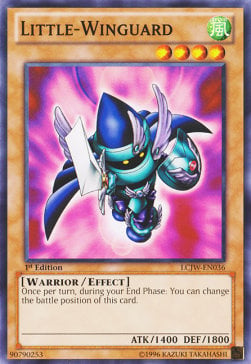 LCJW-036 · Piccola-Guardialata / Little-Winguard (ITA)