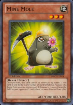 DREV-014 · Talpa Miniera / Mine Mole (ITA)