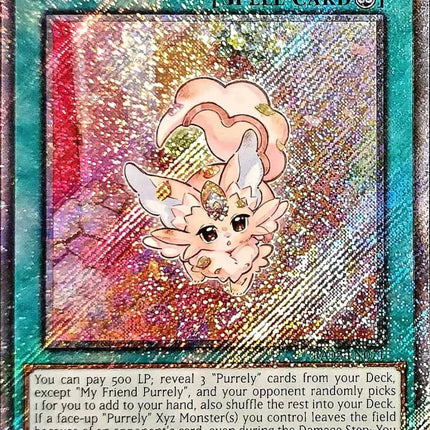 RA02-071psec · My Friend Purrely PLSR (ITA)