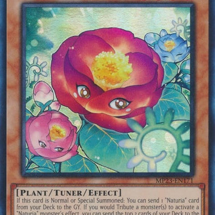MP23-171 · Naturia Camellia SR (ITA)