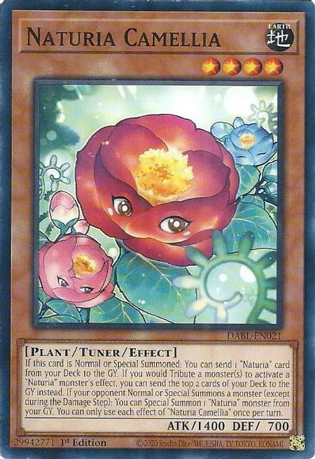 DABL-021 · Naturia Camellia (ITA)
