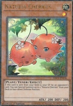 HAC1-116 · Naturia Ciliegie / Naturia Cherries UPR (ENG)