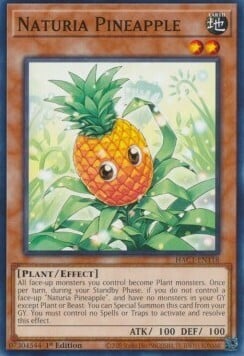 HAC1-118 · Naturia Ananas / Naturia Pineapple (ENG)