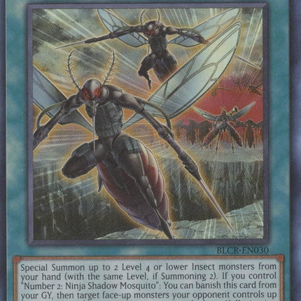 BLCR-030 · Ninjitsu Art of Mosquito Marching UR (ITA)