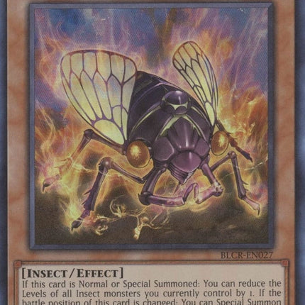 BLCR-027 · Oily Cicada UR (ITA)