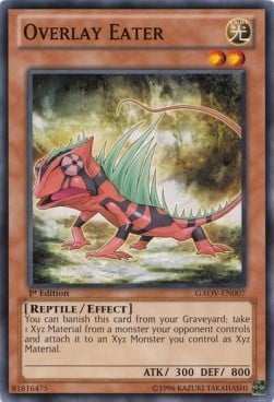 GAOV-007 · Camaleonte Rivestito / Overlay Eater (ITA)