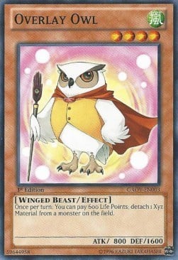 GAOV-003 · Gufo Rivestito / Overlay Owl (ITA)