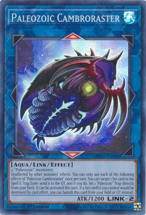 MP22-088 · Cambroraster Paleozoica / Paleozoic Cambroraster SR (ITA)