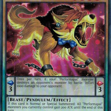 CYHO-095 · Artistamico Zanna d'Oro / Performapal Gold Fang R (ITA)