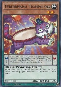 NECH-002 · Artistamico Trampolince / Performapal Trampolynx R (ITA)
