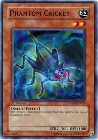 TAEV-030 · Grillo Fantasma / Phantom Cricket (ITA)