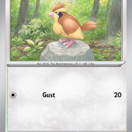 OBF-162 · Pidgey (ITA)