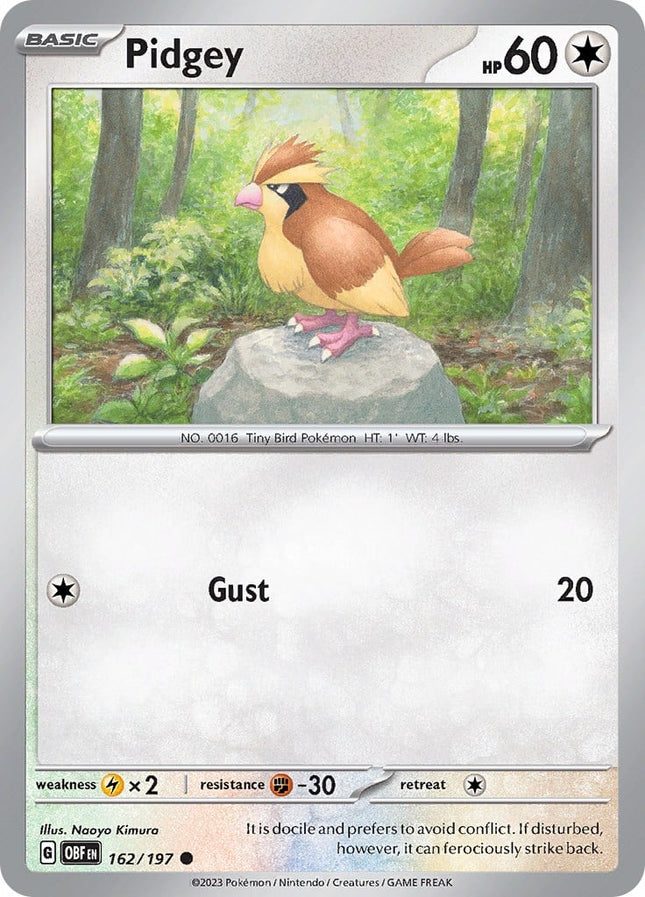 OBF-162 · Pidgey (ITA)