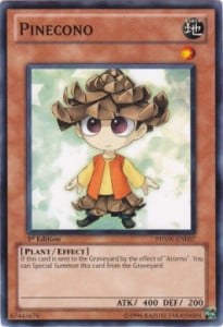 PHSW-007 · Pignetto / Pinecono (ITA)