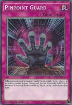 YS15-018 · Guardia Mirata / Pinpoint Guard (ITA)
