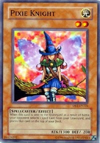 DR1-125 · Cavaliere Pixie / Pixie Knight (ITA)