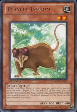 DREV-007 · Opossum Giocoso / Playful Possum R (ITA)