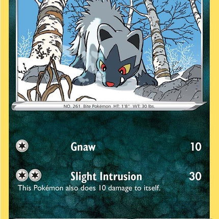 ASTR-095 · Poochyena (ITA)
