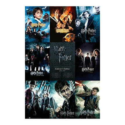 Poster Harry Potter Saga Completa 91,5 x 61 cm (FP2698)