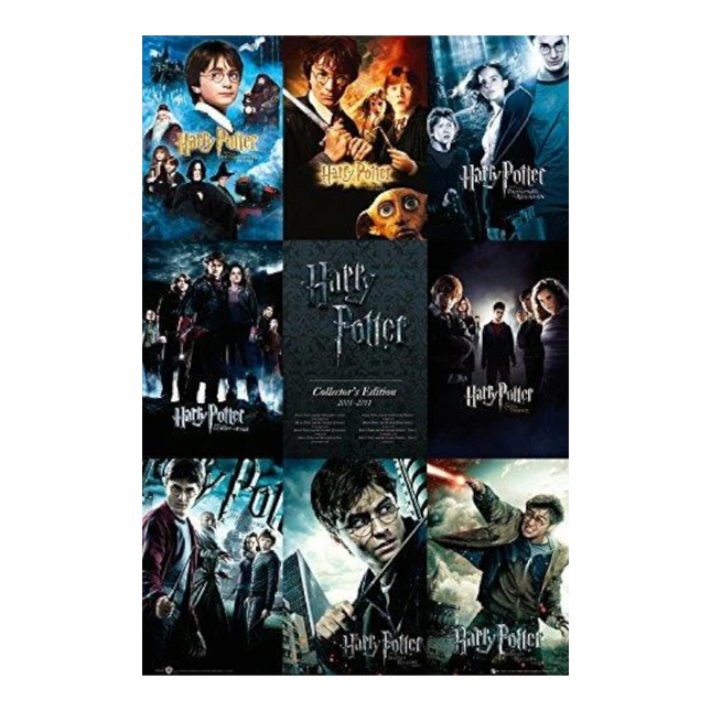 Poster Harry Potter Saga Completa 91,5 x 61 cm (FP2698)